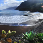 madeira
